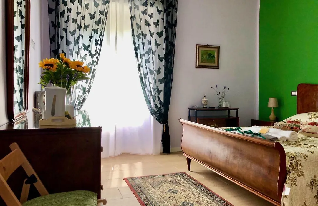City B&B 4U-1