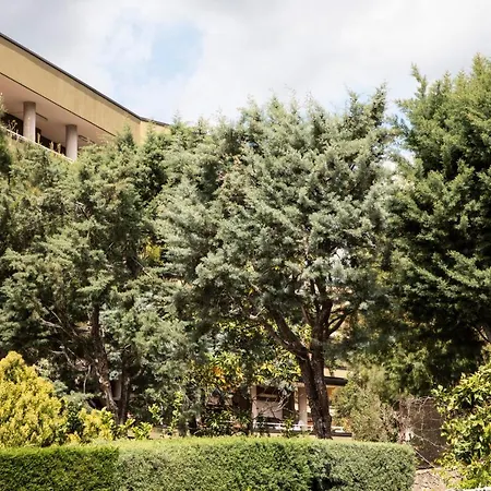 L' albero di giada-3