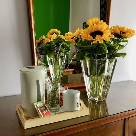 City B&B 4U-3